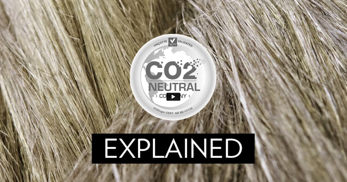 Laden Sie das Video: Video CO2 NEUTRAL erklärt
